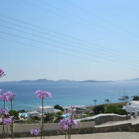 Lägenhetshotell Panthea